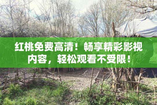 红桃免费高清！畅享精彩影视内容，轻松观看不受限！