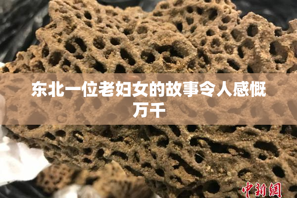 东北一位老妇女的故事令人感慨万千