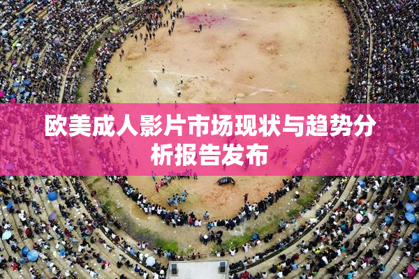 欧美成人影片市场现状与趋势分析报告发布