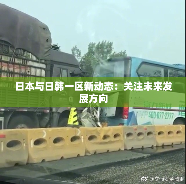 日本与日韩一区新动态：关注未来发展方向