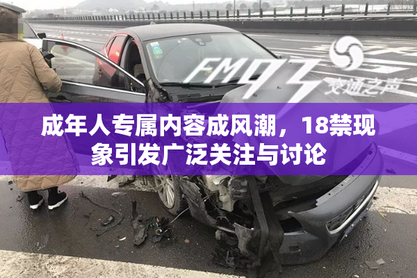 成年人专属内容成风潮，18禁现象引发广泛关注与讨论