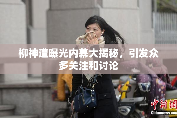 柳神遭曝光内幕大揭秘，引发众多关注和讨论