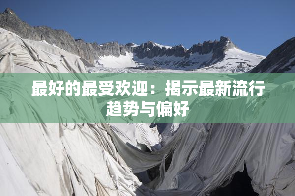 最好的最受欢迎：揭示最新流行趋势与偏好