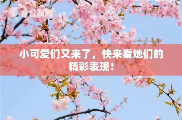 小可爱们又来了，快来看她们的精彩表现！