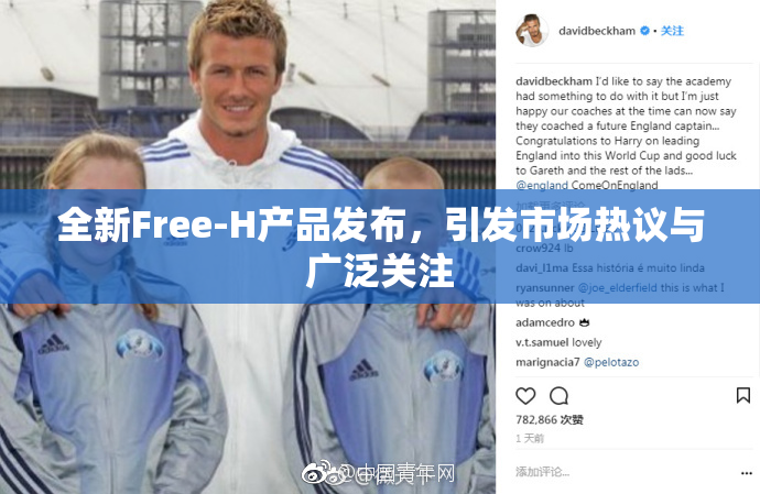 全新Free-H产品发布，引发市场热议与广泛关注