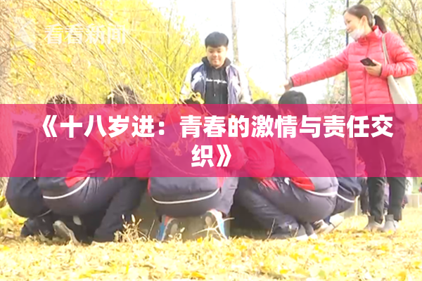 《十八岁进：青春的激情与责任交织》