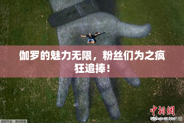 伽罗的魅力无限，粉丝们为之疯狂追捧！