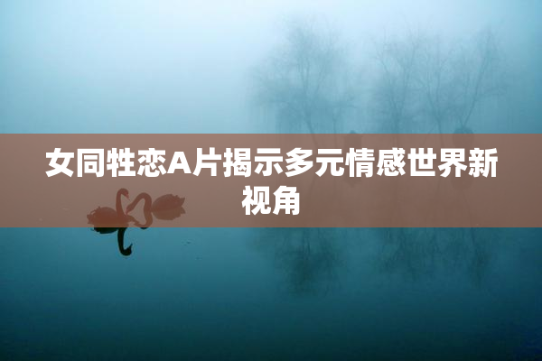 女同牲恋A片揭示多元情感世界新视角