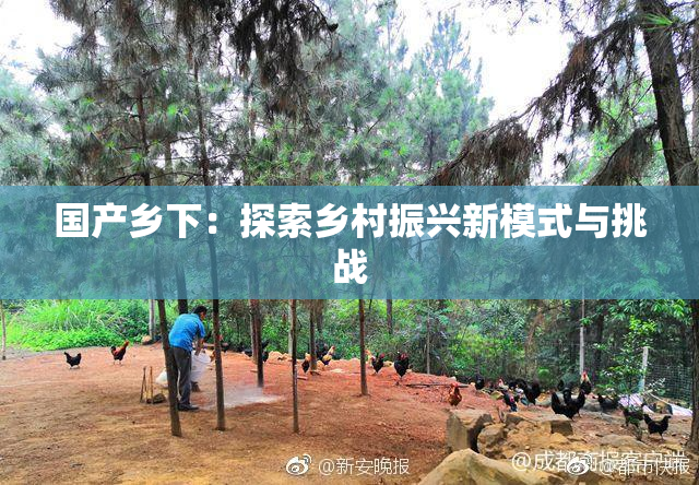 国产乡下：探索乡村振兴新模式与挑战