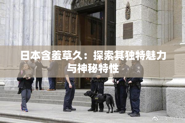 日本含羞草久：探索其独特魅力与神秘特性