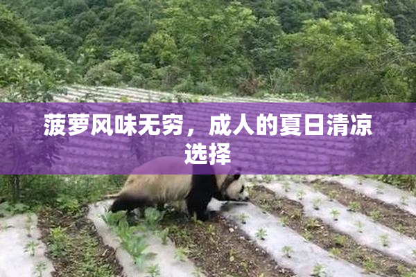 菠萝风味无穷，成人的夏日清凉选择