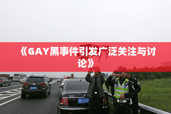 《GAY黑事件引发广泛关注与讨论》