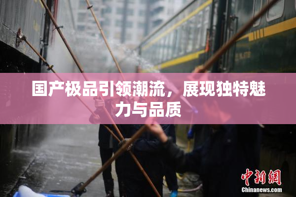 国产极品引领潮流，展现独特魅力与品质