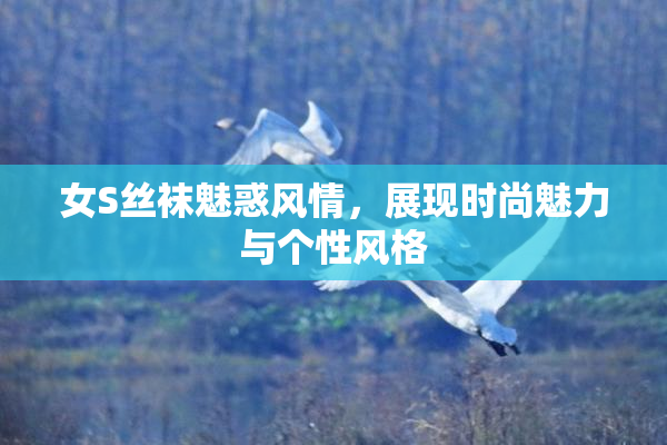 女S丝袜魅惑风情，展现时尚魅力与个性风格