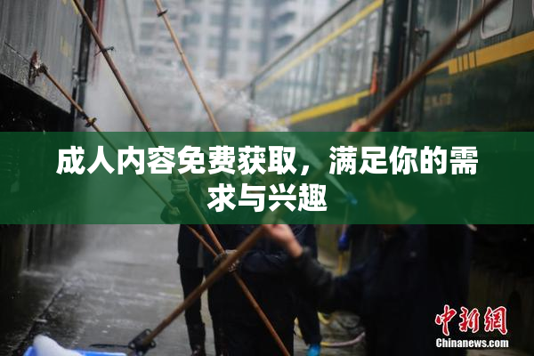 成人内容免费获取，满足你的需求与兴趣