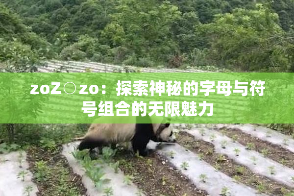 zoZ○zo：探索神秘的字母与符号组合的无限魅力