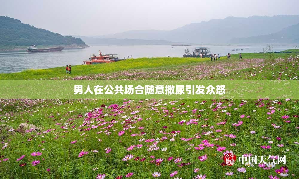 男人在公共场合随意撒尿引发众怒