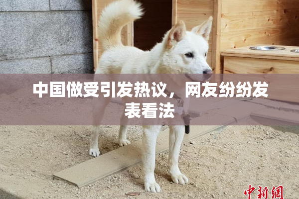 中国做受引发热议，网友纷纷发表看法