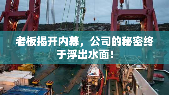 老板揭开内幕，公司的秘密终于浮出水面！