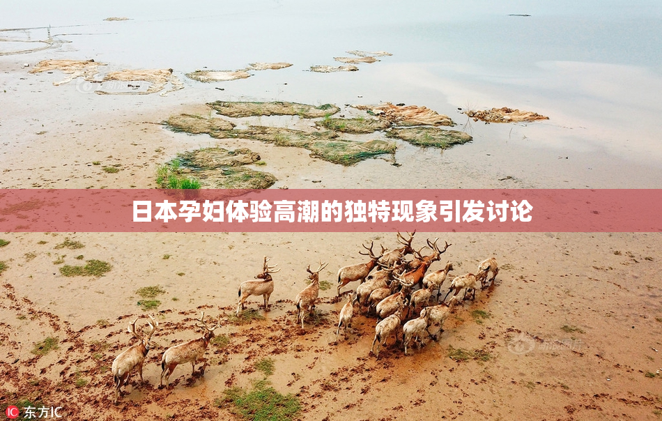 日本孕妇体验高潮的独特现象引发讨论