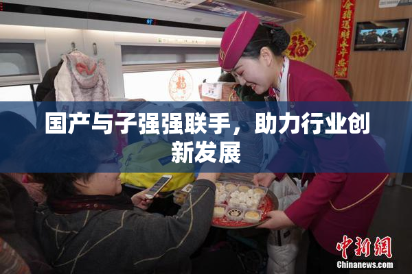 国产与子强强联手，助力行业创新发展