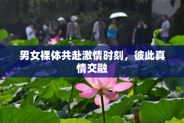 男女裸体共赴激情时刻，彼此真情交融