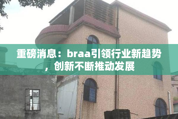 重磅消息：braa引领行业新趋势，创新不断推动发展