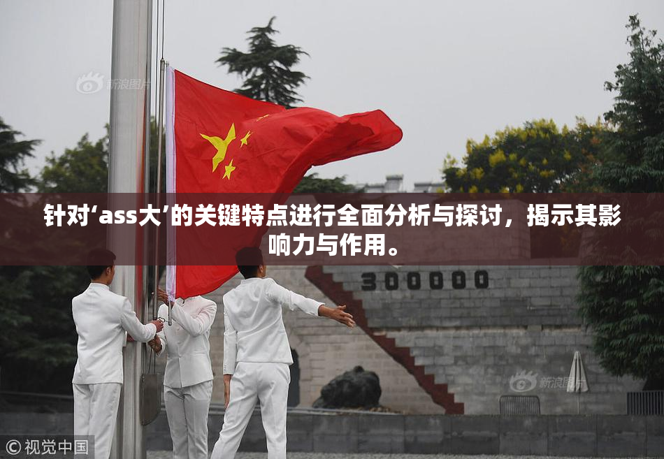 针对‘ass大’的关键特点进行全面分析与探讨，揭示其影响力与作用。