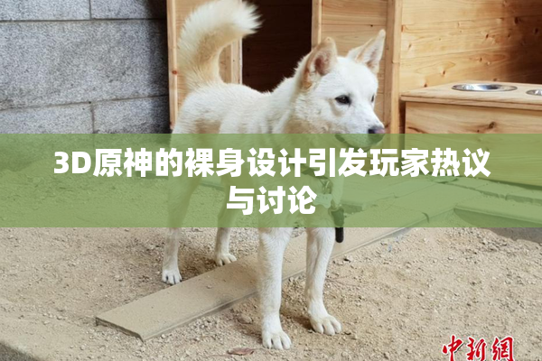 3D原神的裸身设计引发玩家热议与讨论