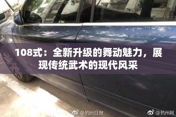108式：全新升级的舞动魅力，展现传统武术的现代风采