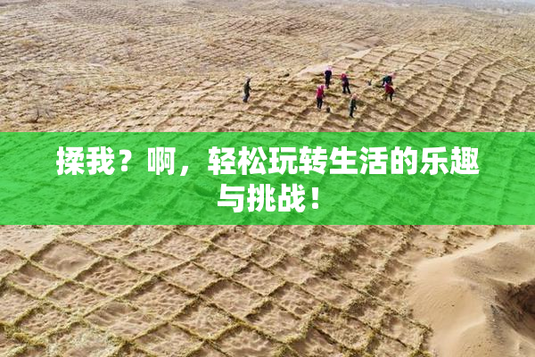 揉我？啊，轻松玩转生活的乐趣与挑战！