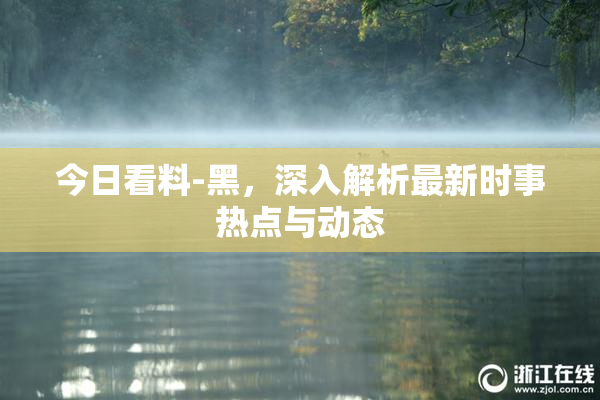 今日看料-黑，深入解析最新时事热点与动态
