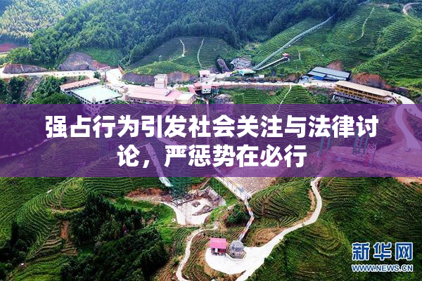 强占行为引发社会关注与法律讨论，严惩势在必行