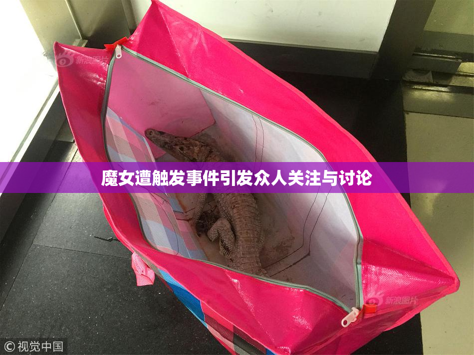 魔女遭触发事件引发众人关注与讨论