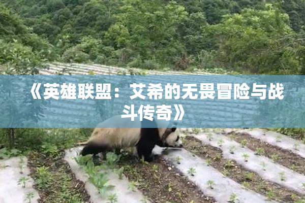 《英雄联盟：艾希的无畏冒险与战斗传奇》