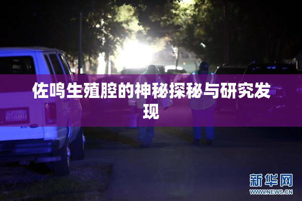 佐鸣生殖腔的神秘探秘与研究发现
