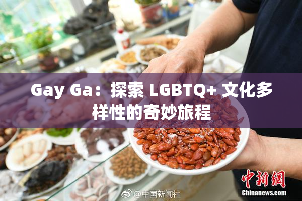 Gay Ga：探索 LGBTQ+ 文化多样性的奇妙旅程