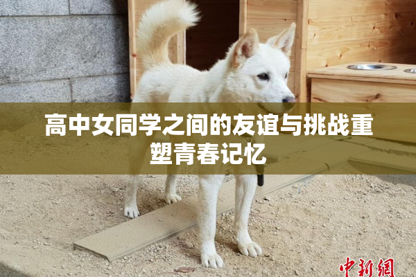 高中女同学之间的友谊与挑战重塑青春记忆
