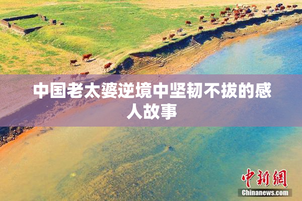 中国老太婆逆境中坚韧不拔的感人故事