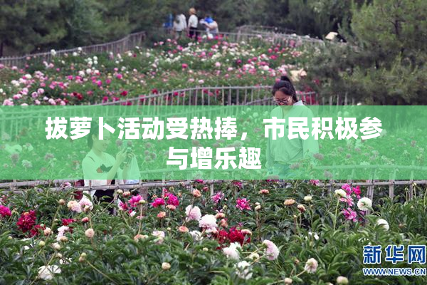 拔萝卜活动受热捧，市民积极参与增乐趣