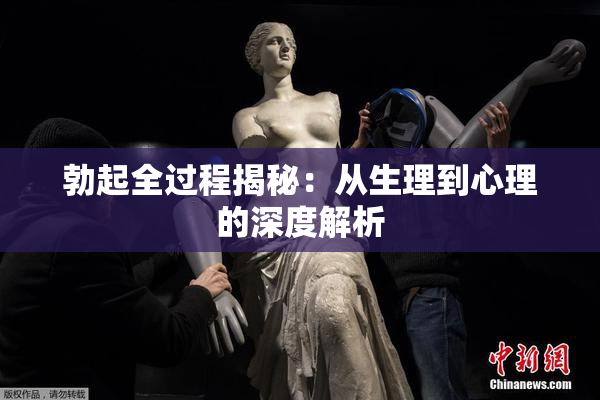 勃起全过程揭秘：从生理到心理的深度解析
