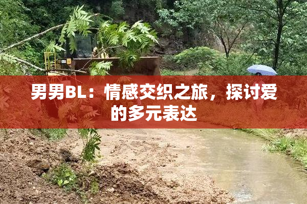 男男BL：情感交织之旅，探讨爱的多元表达