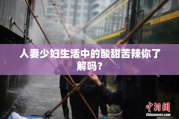人妻少妇生活中的酸甜苦辣你了解吗？