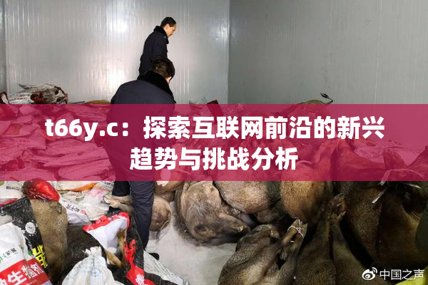 t66y.c：探索互联网前沿的新兴趋势与挑战分析