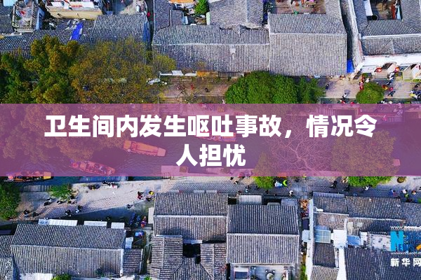 卫生间内发生呕吐事故，情况令人担忧