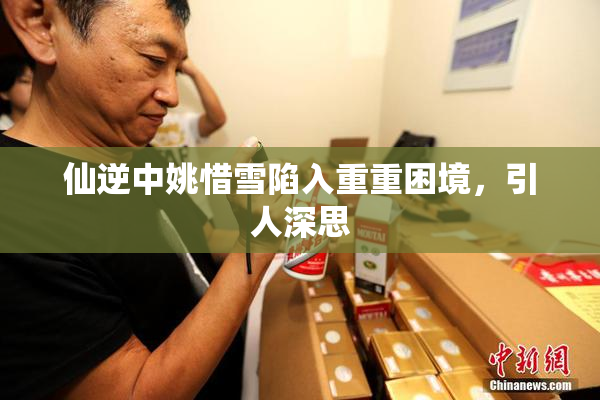 仙逆中姚惜雪陷入重重困境，引人深思