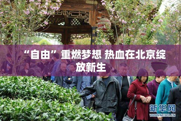 “自由”重燃梦想 热血在北京绽放新生