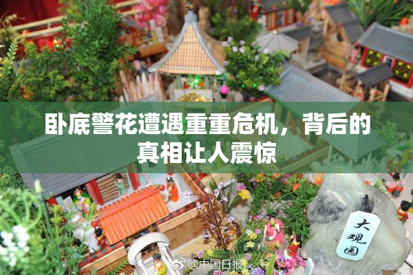 卧底警花遭遇重重危机，背后的真相让人震惊