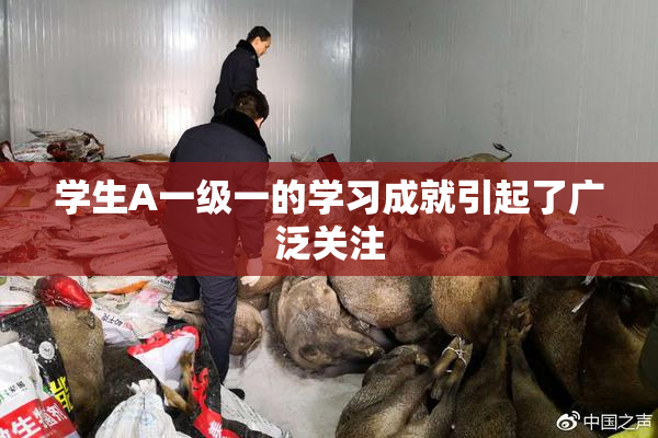 学生A一级一的学习成就引起了广泛关注