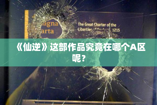 《仙逆》这部作品究竟在哪个A区呢？